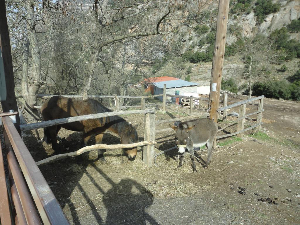 Faraggi Guesthouse Kalavryta Bilik gambar